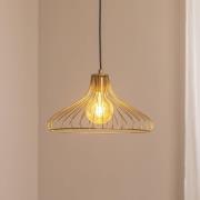 Hanglamp Depay, goud, 1-lamp, metaal, Ø 36 cm, E27