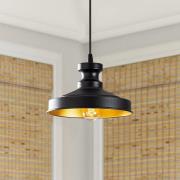 Hanglamp Berceste, zwart, metaal, Ø 22 cm, E27