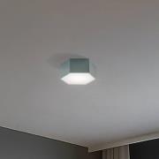 LED plafondlamp Libre, saliegroen, staal, 3.000 K