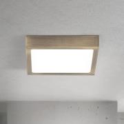 LED plafondlamp Disc, antiek messingkleurig, lengte 14 cm, CCT