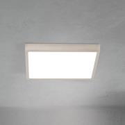 LED plafondlamp Disc, nikkelkleurig gesatineerd Lengte 24 cm CCT