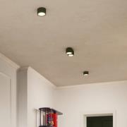 Plafondlamp RIBLA, olijfgroen, Ø 10 cm, metaal, GX53