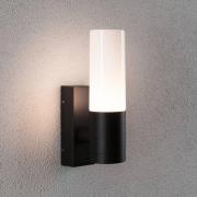 Paulmann buitenwandlamp Tralia, antraciet, hoogte 25 cm IP44