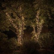 Twinkly RGBW lichtketting, 250-fl. 20m zwart