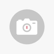 WEVER &amp; DUCRÉ Ray 2.0 PAR16 hanglamp aluminium/zwart