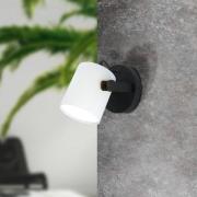 Wandlamp Hornwood met houtdetail, wit