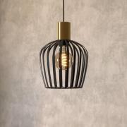 Hanglamp Empoli, zwart/messingkleurig