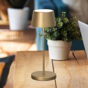 LED tafellamp Asena Pro bronskleurig 30 cm metaal IP54