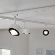 Paulman URail LED-spot Aldan, signaalwit, White Switch