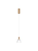 Nova Luce Glass Doc - hanglamp - Ø 12 x 120 cm - 5W LED incl. - goud