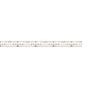 KLUS LED strip - 1cm breed, 500cm lengte - 24Vdc - dimbaar - 14,4W LED...