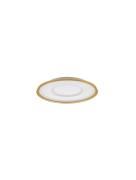 Nova Luce Figin - plafondlamp met afstandsbediening - Ø 50 x 6,5 cm - ...