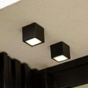 Lutec Gemini - buiten plafondlamp LED - 8,5 x 8,5 x 8,5 cm - 7W LED in...